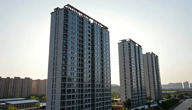 项目咨询服务模式的创新与业务发展趋势分析