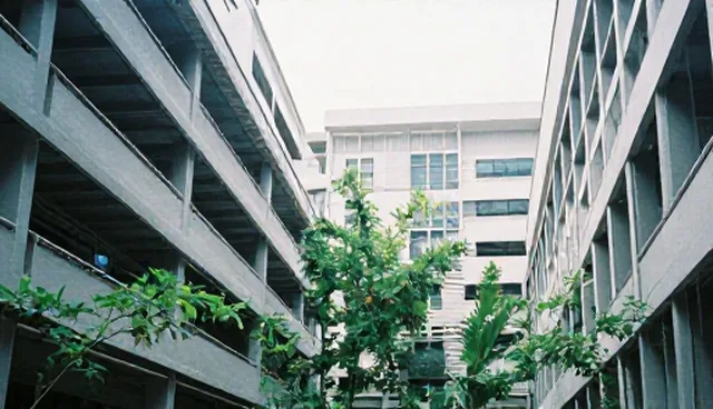 商务配套服务应用场景分析及选择依据